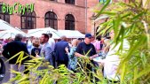 Rheingauer Weinwoche 2025 PK Empfang Rathaushof